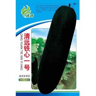 清远清蔬 铁心一号黑皮冬瓜种子 最新研育杂交铁心冬瓜 皮墨绿色 肉质致密 瓜型较长 冬瓜种子 15克装