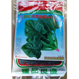 香港蔡兴利 特新汉唐雄风高级菠菜种子 抗病性好 耐抽苔 大叶 黑叶 厚叶 红头 产量高 高级菠菜品种 菠菜种子 300克装