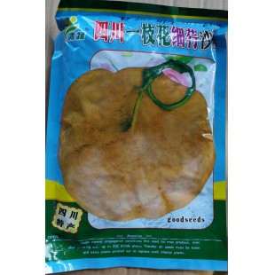 清远清蔬 四川一枝花细荇沙葛种子 早熟 耐旱 皮薄 肉纯白 纤维少 每亩用种量1-2公斤 沙葛种子 400克装