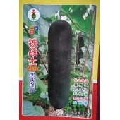 广州大有 铁战士555杂交冬瓜种子 瓜长55-70cm 横径约23cm 果实圆柱形 单瓜可达25公斤 冬瓜种子 10克装