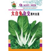 广州绿友 大白兔杂交黑叶白菜种子 叶片黑亮 叶梗光滑 白度好 植株紧凑 株形好 白菜种子 200克装