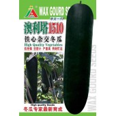 清远清蔬 澳利塔1510杂交黑皮冬瓜种子 抗病性强 果实炮弹型 果长可达100厘米 横径约23cm 最大单瓜可达30kg以上 冬瓜种子 15克装