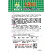 清远清蔬 大奔695铁心黑皮冬瓜种子 果实圆柱似炮弹形 肉质致密 皮墨绿色 表皮光滑 高产栽培亩产6000-10000kg以上 冬瓜种子 15克装