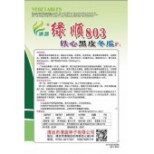 清远清蔬 绿顺803铁心黑皮冬瓜种子 皮墨绿色 表皮光滑 果长可达100cm 铁心冬瓜种子 15克装
