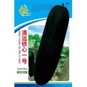 清远清蔬 铁心一号黑皮冬瓜种子 最新研育杂交铁心冬瓜 皮墨绿色 肉质致密 瓜型较长 冬瓜种子 15克装