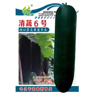清远清蔬 清蔬6号杂交铁心冬瓜种子 果实圆柱炮弹形 肉质致密 果长可达75-85厘米左右 转黑快 空腔小 10克装 铁心冬瓜种子