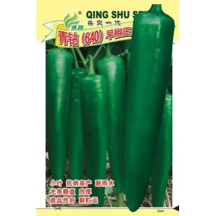 清远清蔬 青钻640早椒王种子 早熟 坐果早 坐果集中 前期产量高 果实青绿色 单果60克 亩产可达7000公斤 5克装 辣椒种子