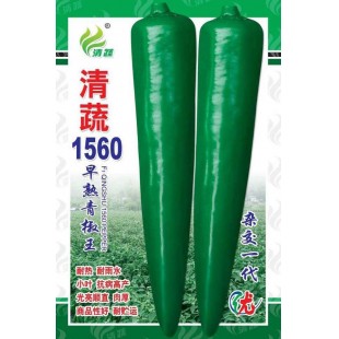 清远清蔬 清蔬1560早熟青椒王种子 新一代抗病椒王 早熟 果长20-22厘米 果肉厚约0.35厘米 耐贮运 外观品质好 抗疫病 5克装 辣椒种子