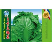 贵州力合农业 8号火锅菜种子 早熟 株高36cm左右 外叶翠绿色 叶面皱 叶柄淡绿色 单球重2-2.5公斤左右 白菜种子 15克