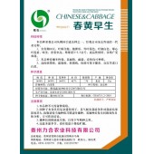 贵州力合农业 春黄早生大白菜种子 韩国引进 春播冬性强 且耐热 耐湿 高抗病毒病 抗病优于健春 良庆等进口白菜 15克装