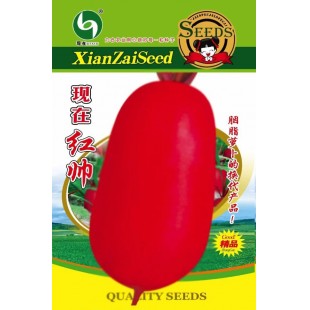 贵州力合 现在红帅萝卜种子 胭脂萝卜的换代产品 小樱桃型早中熟红皮萝卜 色泽红艳 味甜 抗病能力强 40克装 萝卜种子