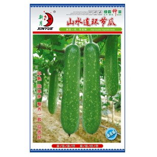 广州绿霸 山水连环节瓜 早熟 挂果多 整齐一致 品质好 瓜长约30厘米 瓜形美观 瓜肉紧实 100粒装 节瓜种子