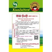 贵州力合 现在红帅萝卜种子 胭脂萝卜的换代产品 小樱桃型早中熟红皮萝卜 色泽红艳 味甜 抗病能力强 40克装 萝卜种子