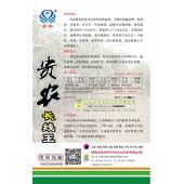 贵州力合 贵农长线王线椒种子 中熟长线椒 果实细长 果长约30-35cm 青果深绿色 老熟果红色鲜艳 果实硬度好 口感好 味辣 1000粒装 辣椒种子