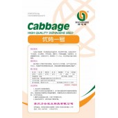 贵州力合 优势一号甘蓝种子 日本引进 中早熟 定植后约60-70天收获 结球紧实 生熟吃皆可 单球重约1.5-2.0kg 10克装 甘蓝种子