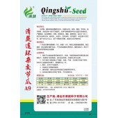清远清蔬 连环杂交节瓜种子 中早熟 耐热 耐肥 早结瓜 座瓜率高 到结瓜期一般节节有雌花 产量极高 肉厚 清甜 食味特佳 单瓜重500克左右 500粒装 节瓜种子