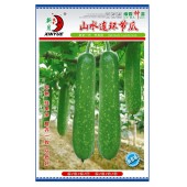 广州绿霸 山水连环节瓜 早熟 挂果多 整齐一致 品质好 瓜长约30厘米 瓜形美观 瓜肉紧实 100粒装 节瓜种子