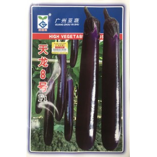 广州亚蔬 天龙八号紫红茄种子 颜色特别鲜亮 耐储耐运 果条深紫 亮丽 果肉细嫩 紫红茄种子 5克