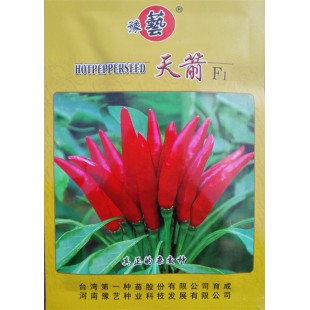 河南豫艺 豫艺天箭辣椒种子 产早熟杂交小辣椒新品种  颜色红艳 辣椒种子 10克袋