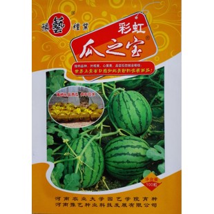 豫艺种业彩虹瓜之宝西瓜种子口感特别瓤质酥脆细嫩有入口即化之感西瓜