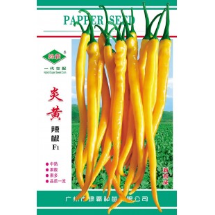 广州绿霸 炎黄线椒种子 成熟果黄色 皮薄 口感极佳 黄绿转橘黄色 果顺直 光亮 长势旺 长23-28cm 辣椒种子 5克装