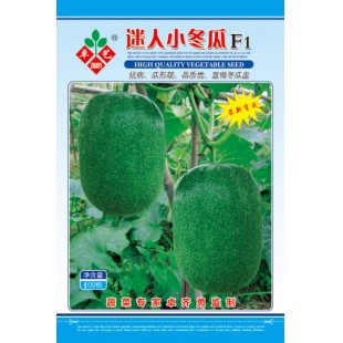 广州卓艺 迷人小冬瓜 瓜形靓 品质优 宜做冬瓜盅 强烈推荐 冬瓜种子 100粒装