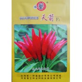 河南豫艺 豫艺天箭辣椒种子 产早熟杂交小辣椒新品种  颜色红艳 辣椒种子 10克袋