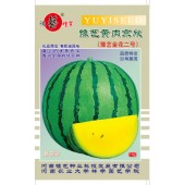 河南豫艺 黄肉京欣西瓜种子 奶油西瓜 单瓜重3-4kg 花皮黄肉 皮薄而韧 肉质致蜜多汁 早熟 礼品西瓜 有奶油风味 西瓜种子 10克装