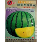 河南豫艺 黄肉京欣西瓜种子 奶油西瓜 单瓜重3-4kg 花皮黄肉 皮薄而韧 肉质致蜜多汁 早熟 礼品西瓜 有奶油风味 西瓜种子 10克装