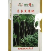 湖南湘研 亮长黑满地冬瓜种子 长炮弹型 墨绿色 内腔小 瓜长85-90厘米 冬瓜种子 200粒装