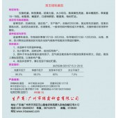 广州绿霸 黄玉樱桃番茄 株型美观 熟果黄色亮丽 果半椭圆形 单果重15-18克 耐裂果 嫩度好 糖度高 番茄种子 1克装