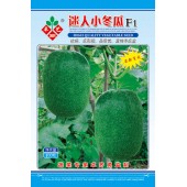广州卓艺 迷人小冬瓜 瓜形靓 品质优 宜做冬瓜盅 强烈推荐 冬瓜种子 100粒装