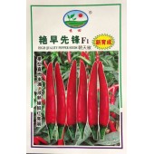 广州阳兴 艳早先锋指天椒种子 早熟 椒形美观 味道辛辣 产量高 指天椒种子 5克装