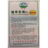 广州阳兴 艳早先锋指天椒种子 早熟 椒形美观 味道辛辣 产量高 指天椒种子 5克装