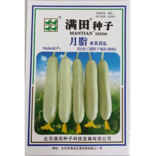 北京满田 月脂水果黄瓜 早熟 长约15厘米 皮质淡绿 中腔细小 瓜条顺直 卖相好 口感好 黄瓜种子 200粒装 