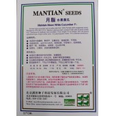 北京满田 月脂水果黄瓜 早熟 长约15厘米 皮质淡绿 中腔细小 瓜条顺直 卖相好 口感好 黄瓜种子 200粒装 