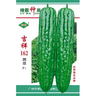 广州绿霸 吉祥162苦瓜种子 中早熟 果色油绿具有光泽 肉厚结实 瓜长28-32厘米 单瓜重350-500克 品质优 耐贮运 50粒装 苦瓜种子