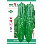 广州绿霸 吉祥162苦瓜种子 中早熟 果色油绿具有光泽 肉厚结实 瓜长28-32厘米 单瓜重350-500克 品质优 耐贮运 50粒装 苦瓜种子