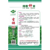 广州绿霸 吉祥162苦瓜种子 中早熟 果色油绿具有光泽 肉厚结实 瓜长28-32厘米 单瓜重350-500克 品质优 耐贮运 50粒装 苦瓜种子