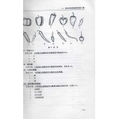 辣椒种质资源描述规范和数据标准 中国农业出版社出版