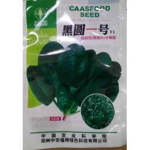 中国农科院中农福德 黑圆一号菠菜种子 黑圆叶 半匍匐 长势强 单株重65克左右 极耐抽苔 耐热性好 适合春秋季和冷凉地区夏季栽培 300克装 菠菜种子 