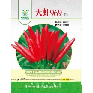 中国农科院 天虹969朝天椒种子 极早熟 超高产 特抗病 纯度高 果长5-6厘米 果皮油亮 辣味浓 鲜果商品性好 干果品质优秀 1000粒装 朝天椒种子