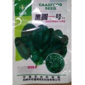 中国农科院中农福德 黑圆一号菠菜种子 黑圆叶 半匍匐 长势强 单株重65克左右 极耐抽苔 耐热性好 适合春秋季和冷凉地区夏季栽培 300克装 菠菜种子 