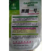 中国农科院中农福德 黑圆一号菠菜种子 黑圆叶 半匍匐 长势强 单株重65克左右 极耐抽苔 耐热性好 适合春秋季和冷凉地区夏季栽培 300克装 菠菜种子 