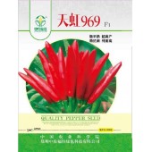 中国农科院 天虹969朝天椒种子 极早熟 超高产 特抗病 纯度高 果长5-6厘米 果皮油亮 辣味浓 鲜果商品性好 干果品质优秀 1000粒装 朝天椒种子