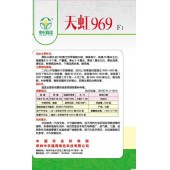 中国农科院 天虹969朝天椒种子 极早熟 超高产 特抗病 纯度高 果长5-6厘米 果皮油亮 辣味浓 鲜果商品性好 干果品质优秀 1000粒装 朝天椒种子