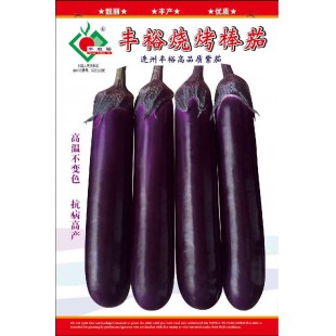 连州丰裕 烧烤棒茄 中熟挂果多 果形粗中长顺直 栽培适当 长27-32厘米 深紫红色 鲜艳有光泽 高温不易褪色 1000粒装 茄子种子
