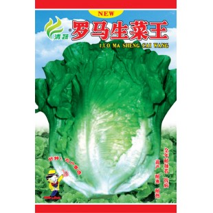 清远清蔬 罗马生菜王种子 耐热 耐寒 耐抽苔 10克装