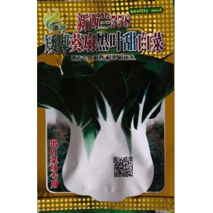 清远清蔬 新西兰558矮脚葵扇黑叶甜白菜 酒店专用 耐热 耐寒 耐雨水 20克装