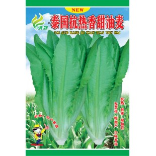清远清蔬 泰国高产香甜油麦 发芽快 特高产 口味香浓 15克装